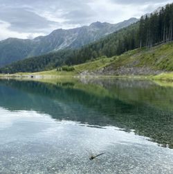 Scenic view of lake and mountains, with a dragonfly trespassing. 