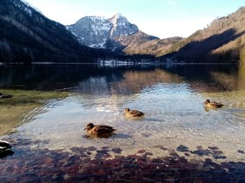 Scenic view of lake and mountains