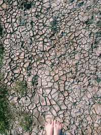 Low section of woman standing cracked field