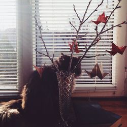 window