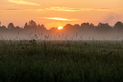 Scenic view of field against sky during sunset