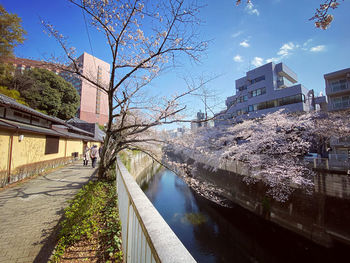 Scenic view of river by buildings against sky