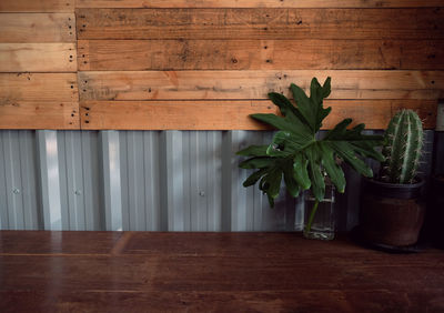 Potted plant on table against wall