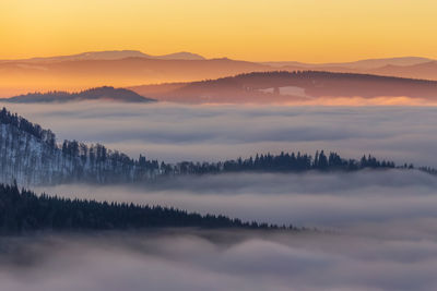 Abstract landscape in the mountains, with fog in the forest, in the morning in rodnei mountains 