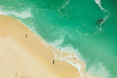 Aerial view of people on beach