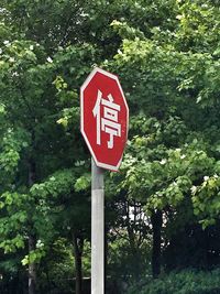 Information sign on tree