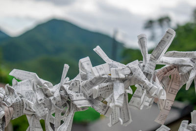 Close-up of folded papers hanging outdoors