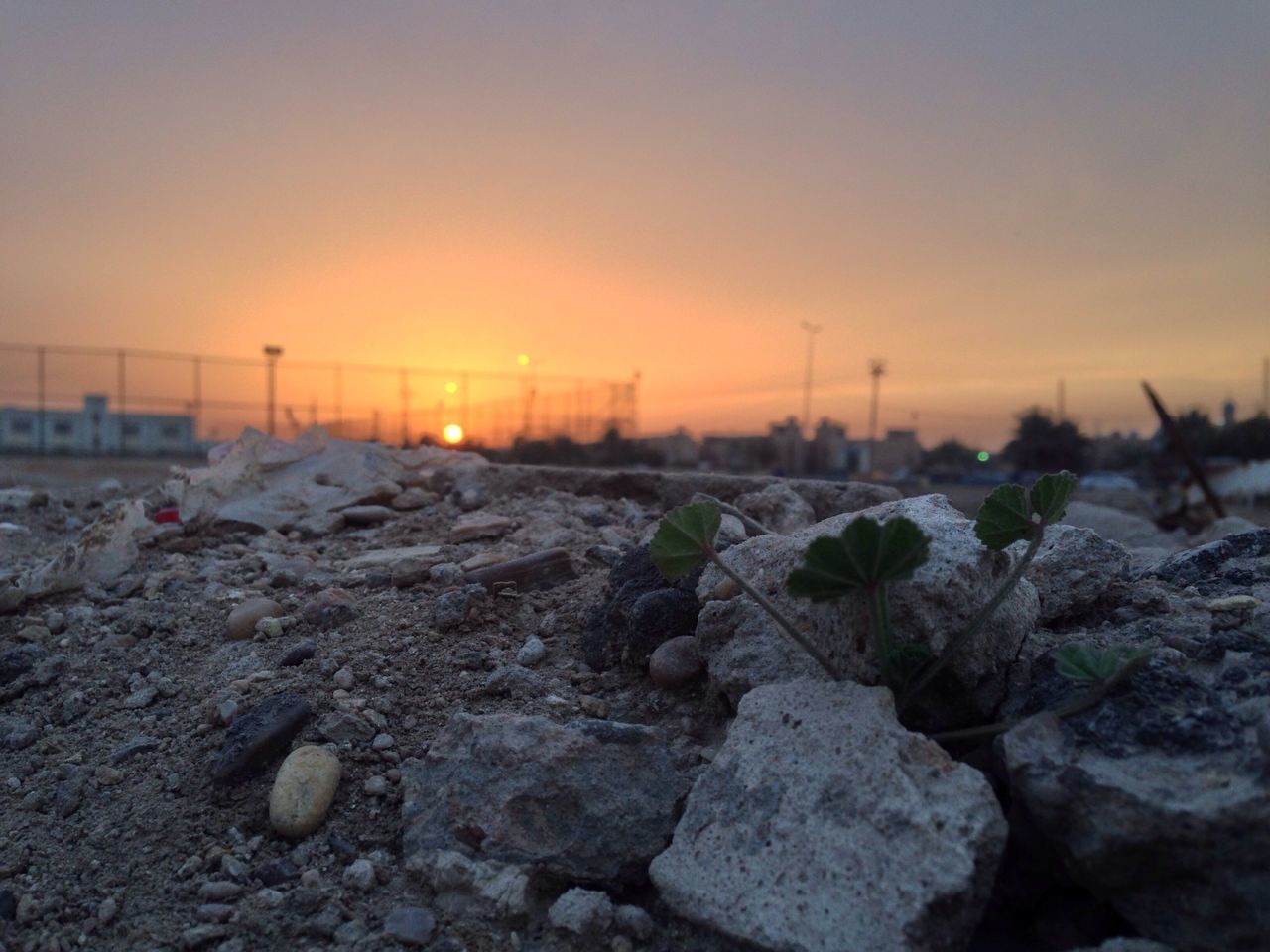 sunset, nature, tranquility, rock - object, sun, tranquil scene, beauty in nature, orange color, scenics, sky, stone - object, clear sky, sunlight, landscape, outdoors, beach, surface level, focus on foreground, no people, non-urban scene