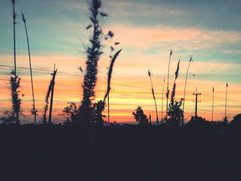 Silhouette plants on landscape against romantic sky at sunset