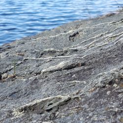 Close-up of water