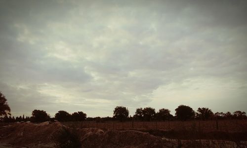 Trees on field against cloudy sky