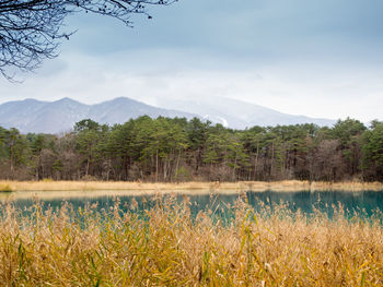 Scenic view of lake against sky