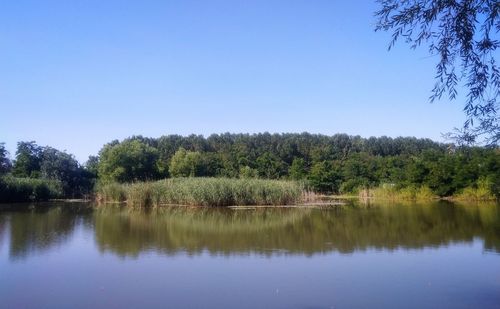 Scenic view of lake against clear sky