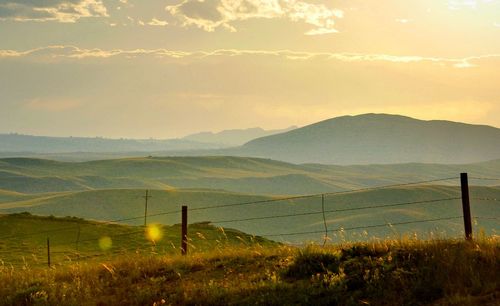 Scenic view of field against sky during sunset