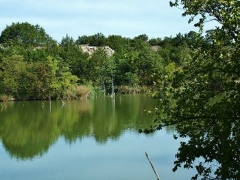 Reflection of trees in lake