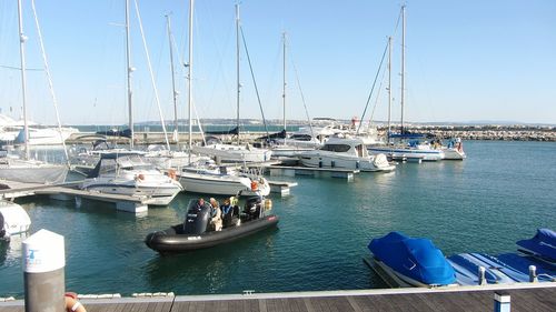 Sailboats moored in harbor