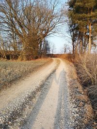 Empty road along bare trees