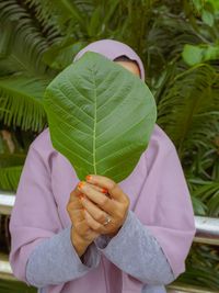 Close-up of person holding leaves