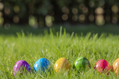 Close-up of easter eggs on field