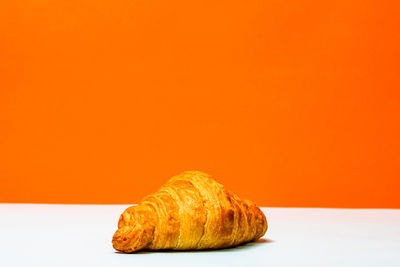 Close-up of orange against white background