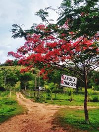 Road sign by trees on field against sky