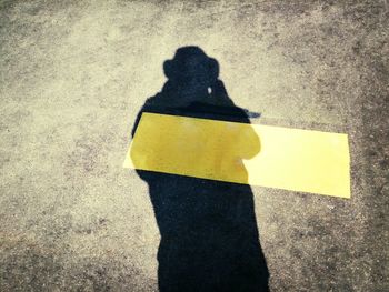 Close-up of yellow flowers