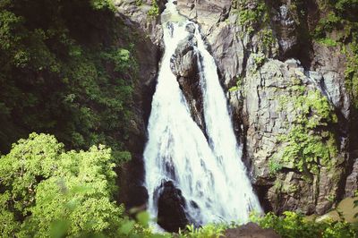 Scenic view of waterfall in forest