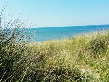 Scenic view of sea against clear sky