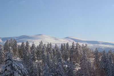 Scenic view of snowcapped mountains against clear blue sky