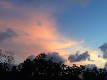 Low angle view of silhouette trees against sky