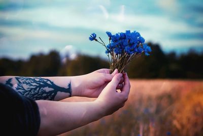 Cropped image of woman holding purple flower on field