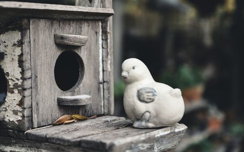 Close-up of birdhouse 