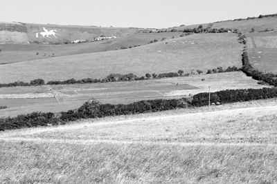 Scenic view of field against clear sky