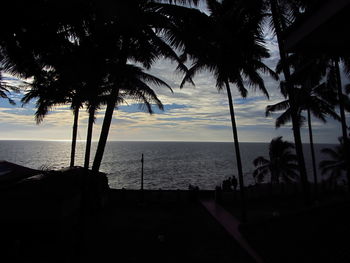 Silhouette palm trees by swimming pool against sky