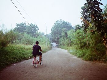 Rear view of man riding bicycle on road