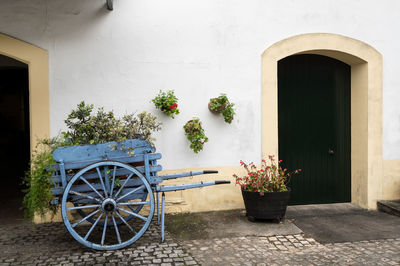 Potted plants against white wall of building