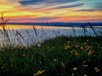 Scenic view of sea against sky during sunset