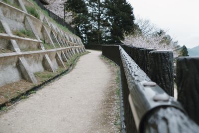 Close-up of water by trees