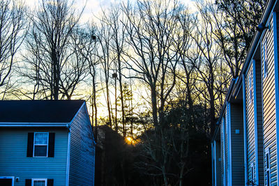 Low angle view of bare trees and building against sky