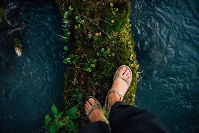 Low section of person standing in water