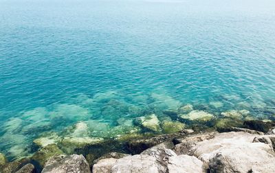 Scenic view of sea shore