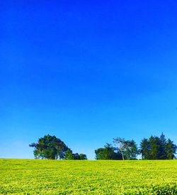 Scenic view of field against clear blue sky