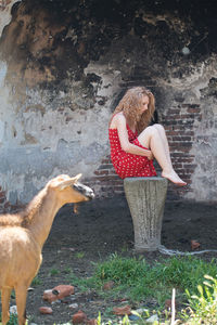 Goat standing while woman sitting on seat at park