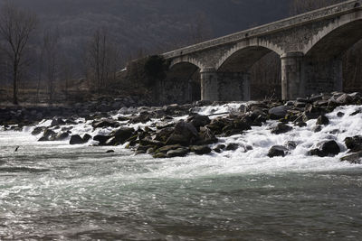 Arch bridge over river against trees