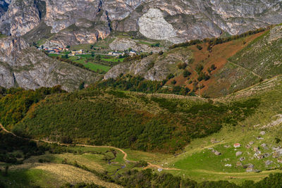 High angle view of trees on landscape