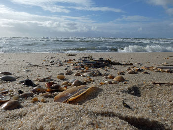 Scenic view of beach against sky