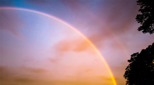 Low angle view of rainbow over trees