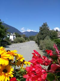 Scenic view of mountains against clear sky