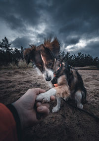 Man holding dog against sky