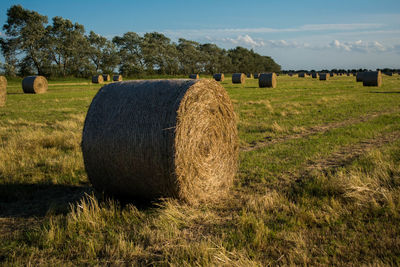 Hay bales on field against sky